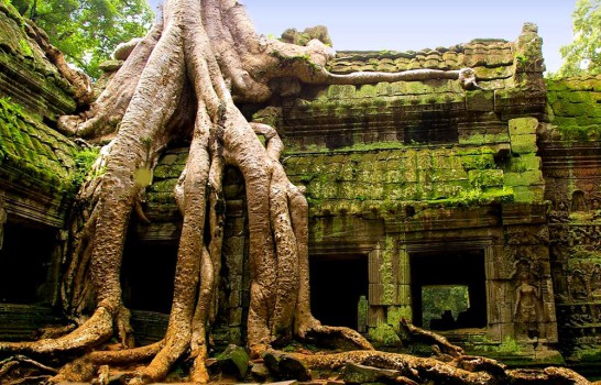 Камбоджа, храмы фото