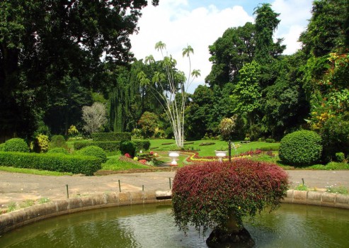 Шри Ланка, ботанический сад